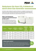 Green Solutions - Genius XE - Single Sheet (German)